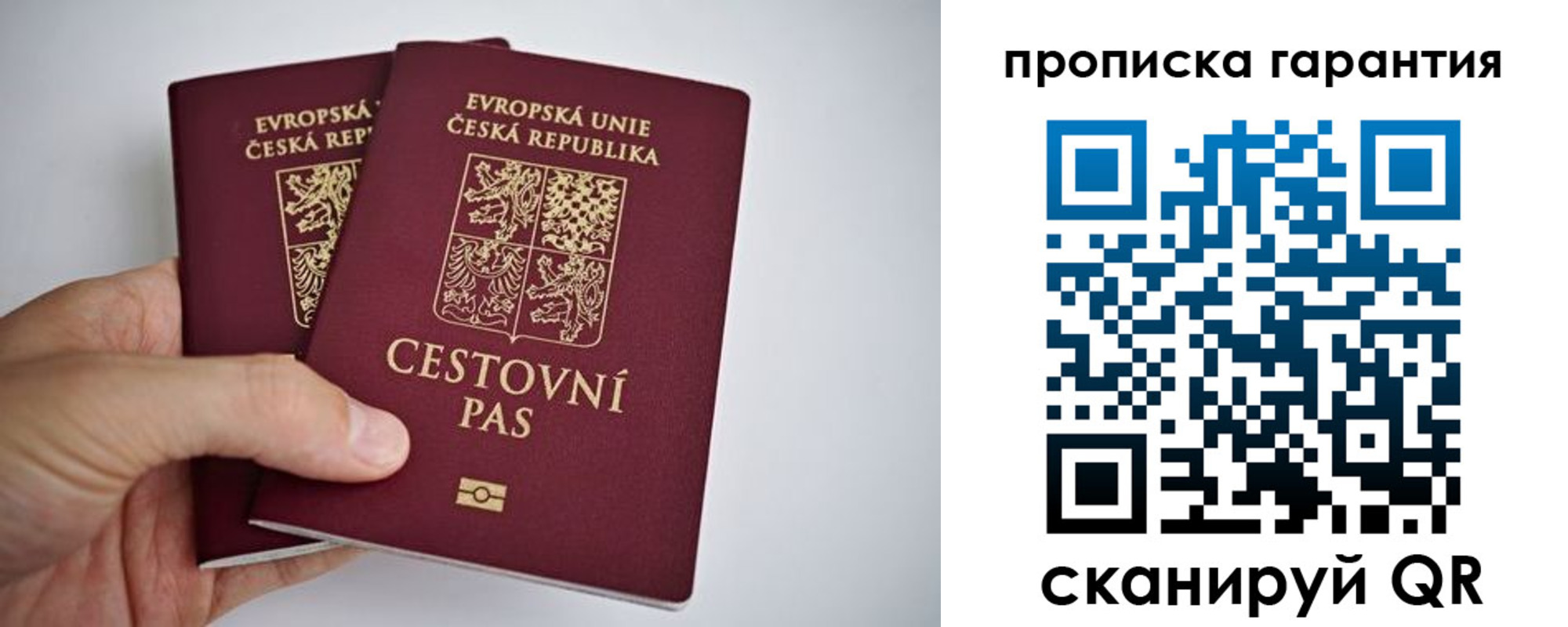 прописка в Менделеевске